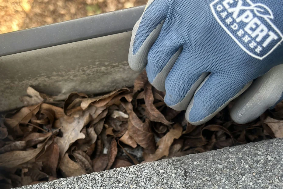 Gutter Cleaning Hillsborough