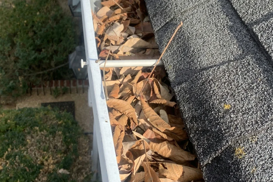 Gutter Cleaning Hillsborough