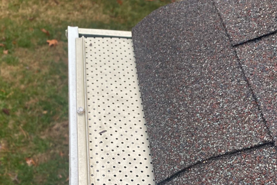 Gutter Cleaning Hillsborough